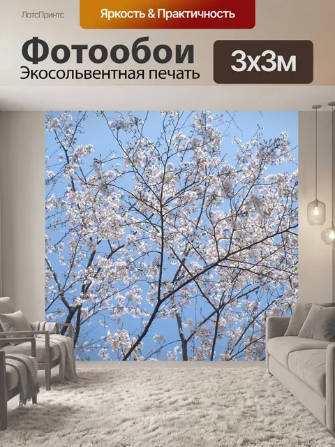 Фотообои Сакура