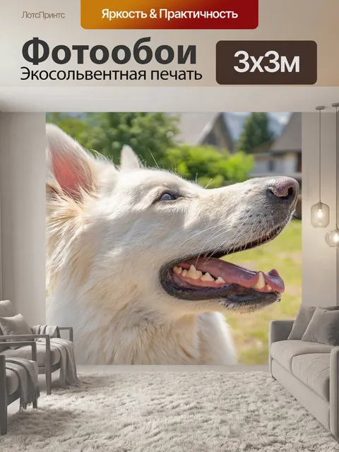 Фотообои Собака