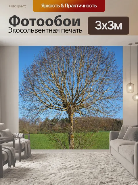 Фотообои Дерево
