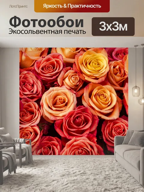Фотообои Оранжевая роза фон