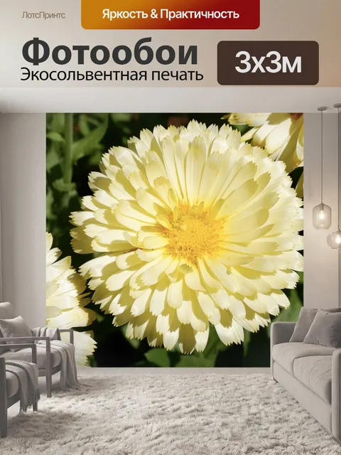 Фотообои Цветы