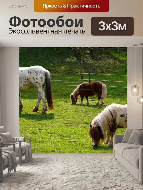 Фотообои Лошади