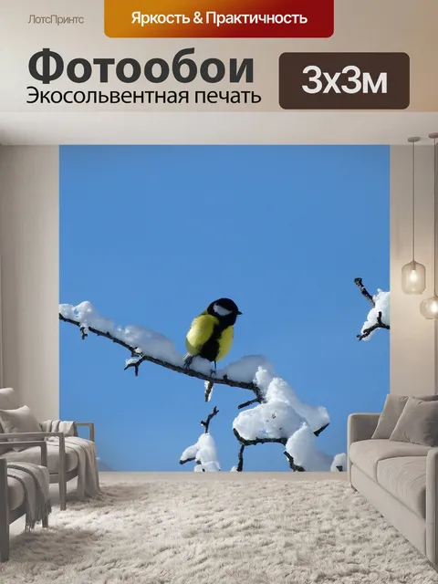 Фотообои Птицы