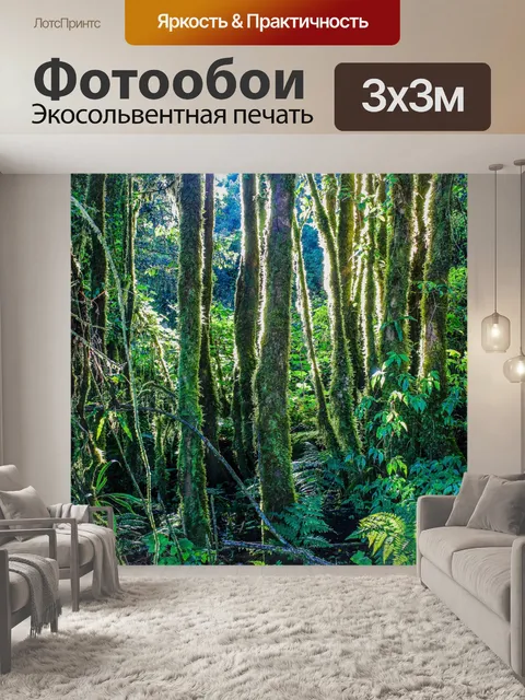 Фотообои Тропический лес в Дои Интанон, Чиангмай