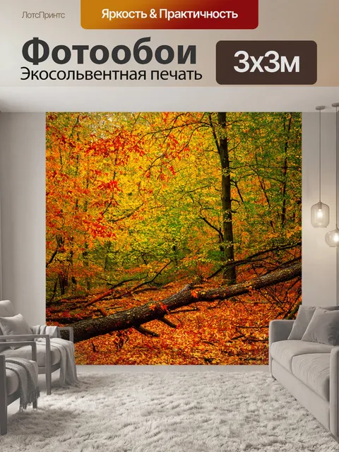 Фотообои лес с красочными осенними листьями и опавшими деревьями