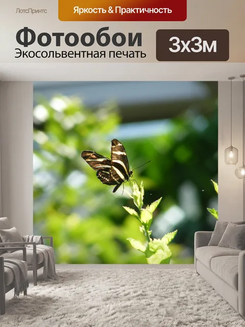 Фотообои Бабочка