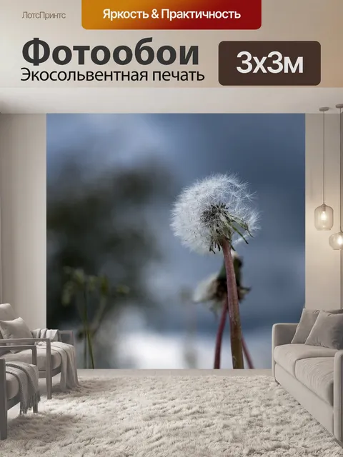 Фотообои Одуванчик