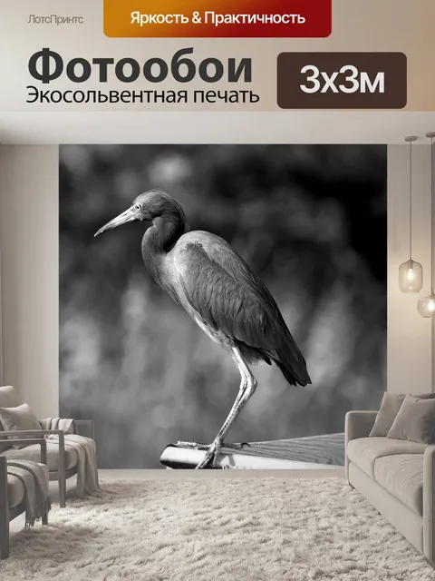 Фотообои Большая белая цапля
