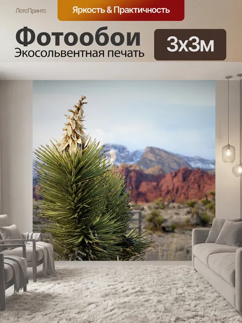 Фотообои Красная скала