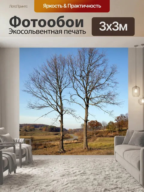 Фотообои Дорога