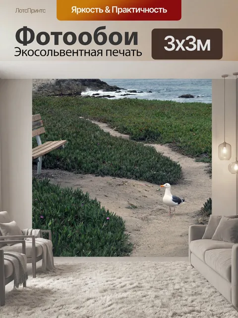 Фотообои Чайка и скамьи на берегу моря