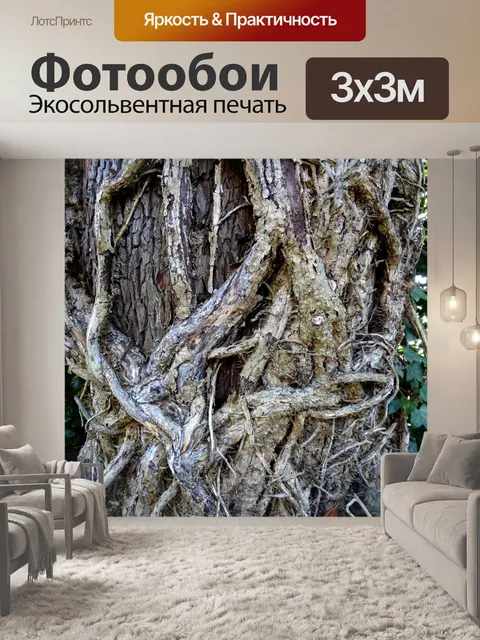 Фотообои Отрасли вокруг ствола дерева