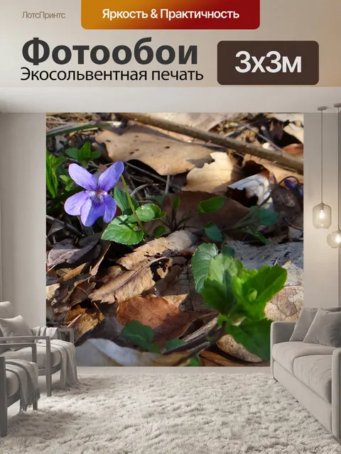 Фотообои Весенние цветы 4