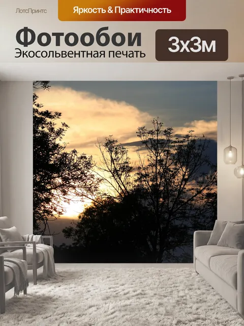 Фотообои силуэты деревьев на закате