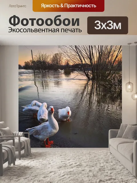 Фотообои Гуси