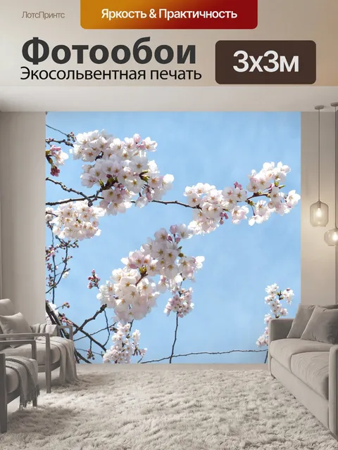 Фотообои Сакура