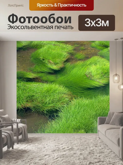 Фотообои Трава