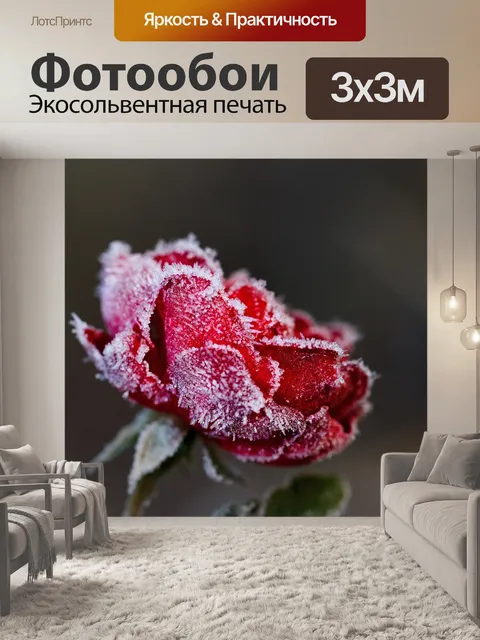 Фотообои Розы