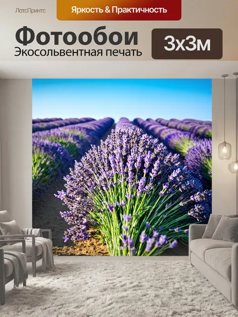 Фотообои пейзаж с полем лаванды под голубым небом