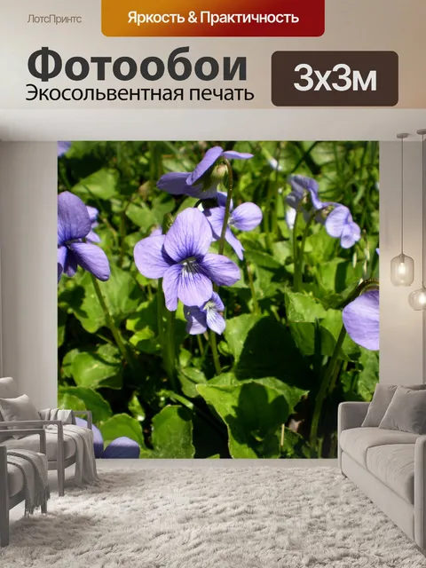 Фотообои Фиолетовый Цветы
