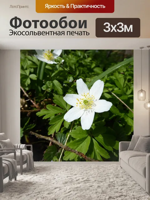 Фотообои Весна