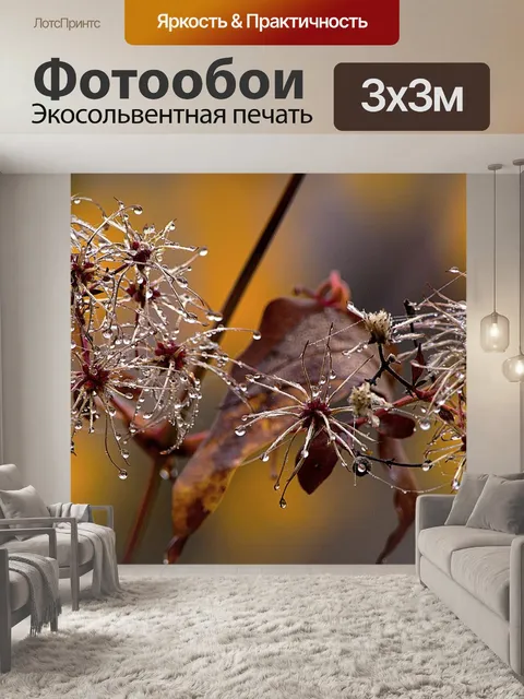 Фотообои Туман