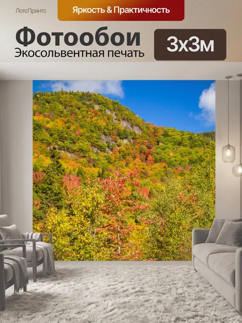 Фотообои Новая Англия листва