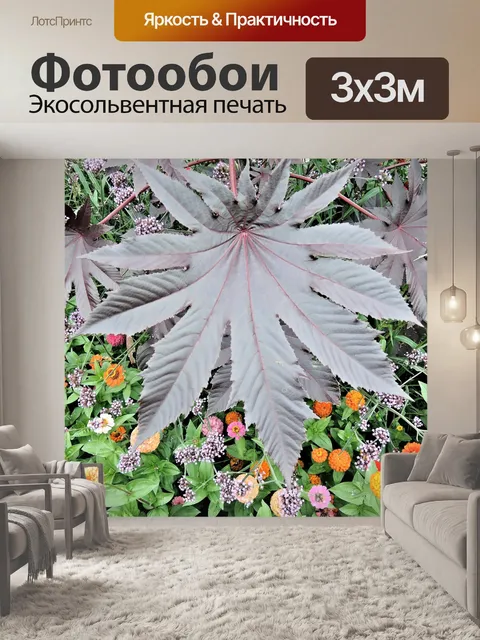 Фотообои Лист красной клещевины