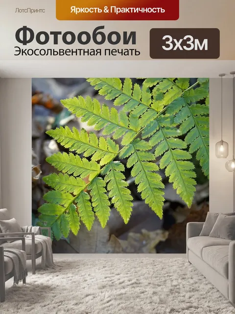 Фотообои Папоротник