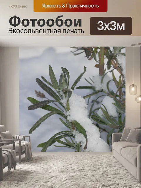 Фотообои Лаванда