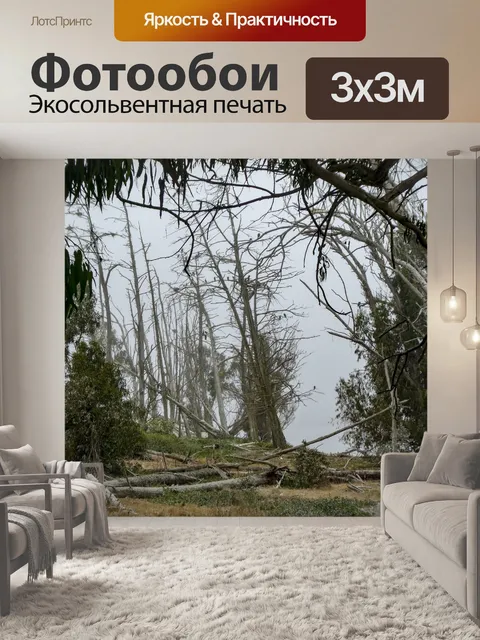 Фотообои Птичий заповедник