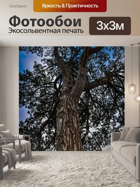 Фотообои Дерево