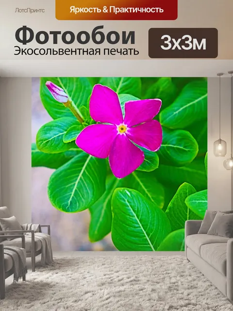 Фотообои Розовый цветок