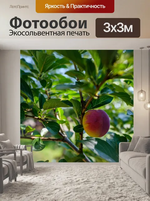 Фотообои Сливы