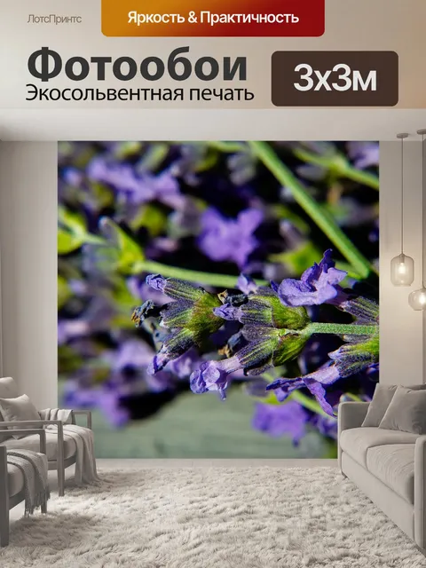 Фотообои Лаванда