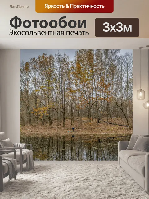 Фотообои Лес