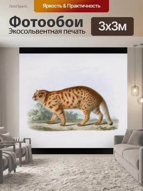Фотообои Большая кошка дикая кошка табби