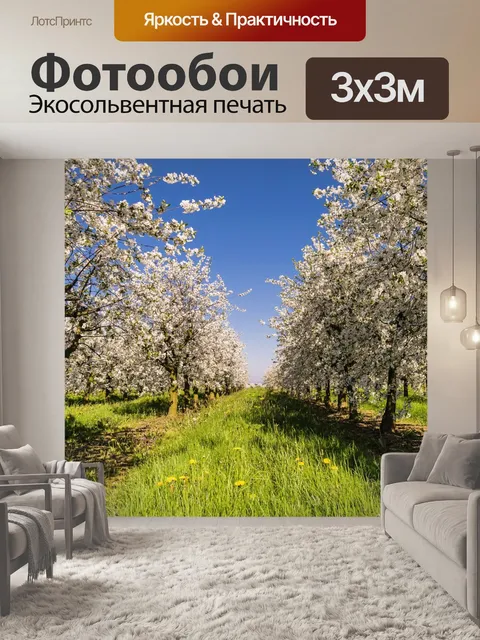 Фотообои Фрукты