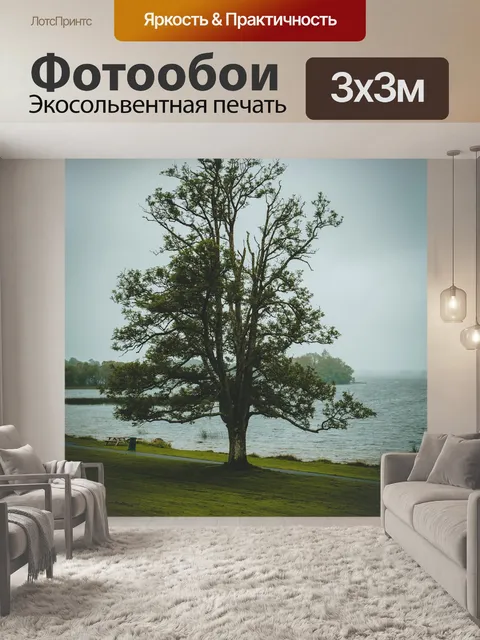 Фотообои Лес