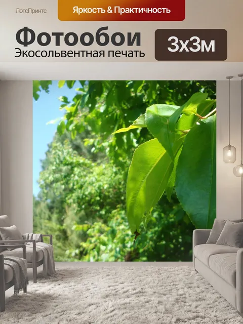 Фотообои Деревья и листья