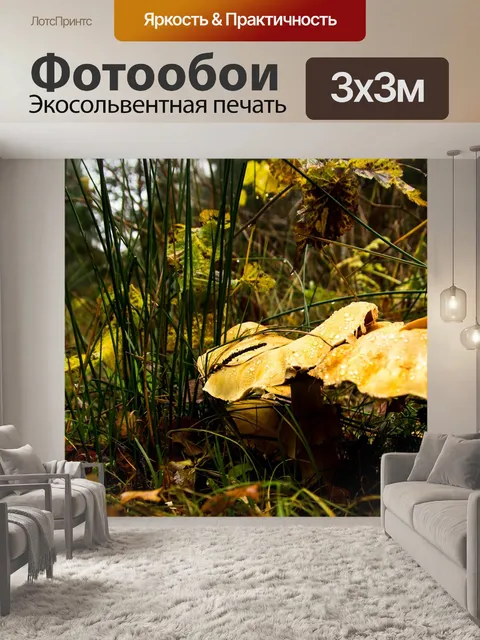 Фотообои Лес