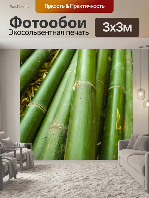 Фотообои Бамбуковый лес природа фон