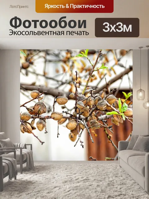 Фотообои Дерево