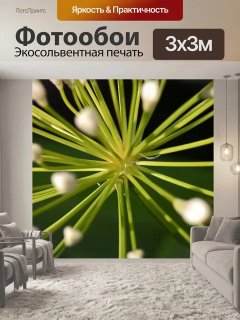 Фотообои стебли белого агапантуса