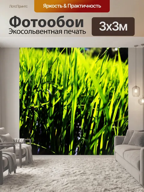 Фотообои Зеленое рисовое поле