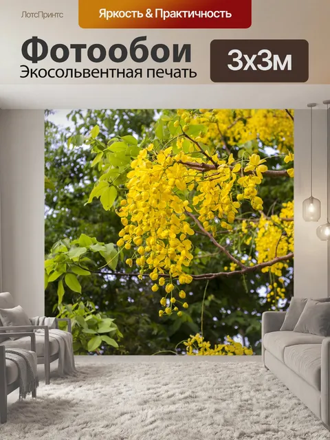 Фотообои Кассия свищ