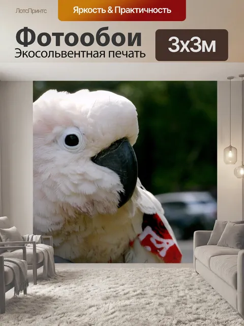 Фотообои Птица