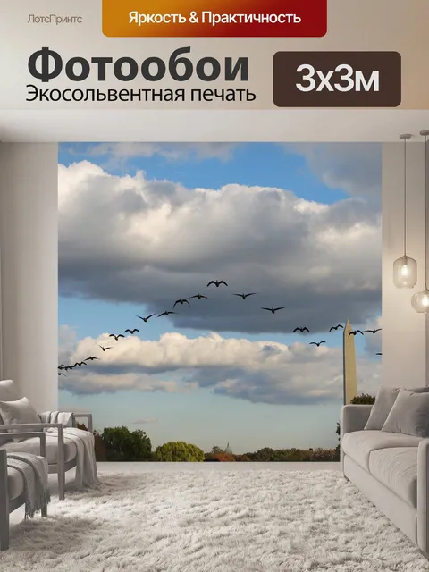 Фотообои Птицы