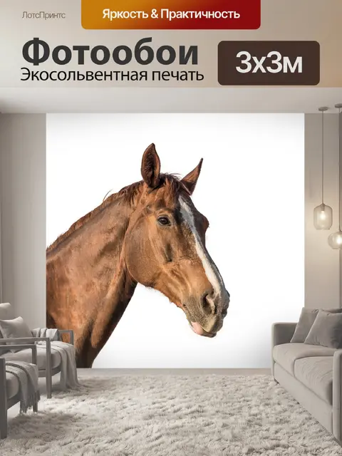 Фотообои Лошадиная голова