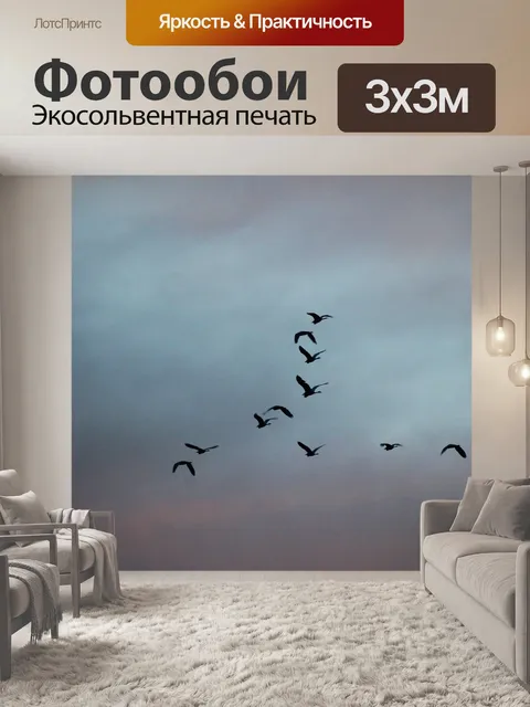 Фотообои Птицы